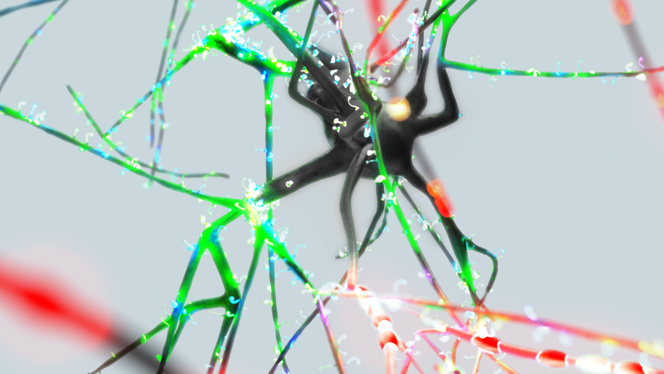 Cerebro neurona IA