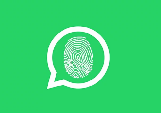 Whatsapp para android