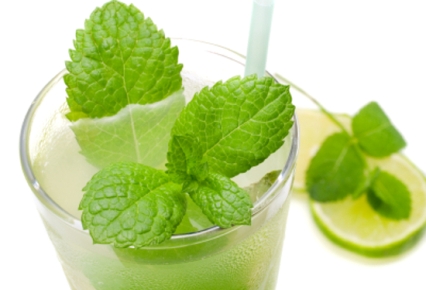 Mojito_Bebida