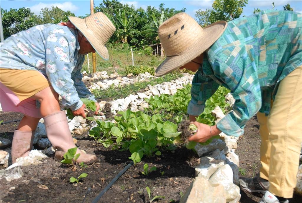 Mujeres rurales