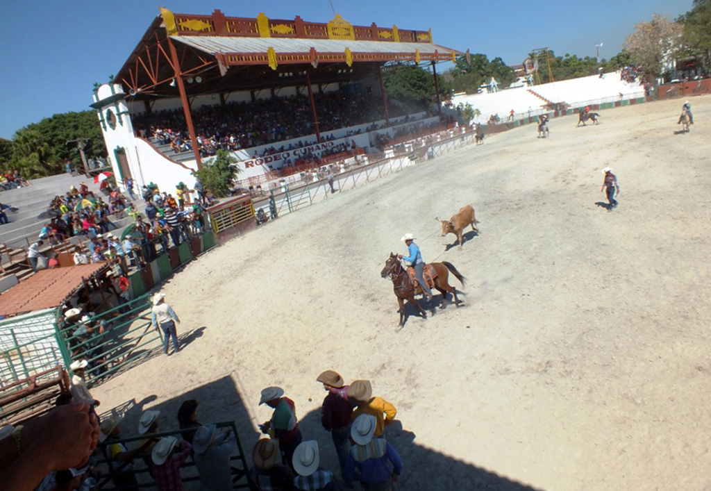 Competencias de rodeo 03