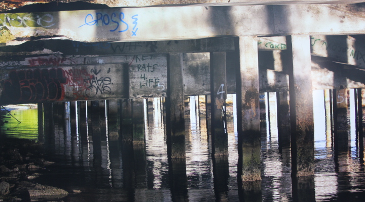 Flor Mayoral, exposición fotográfica3