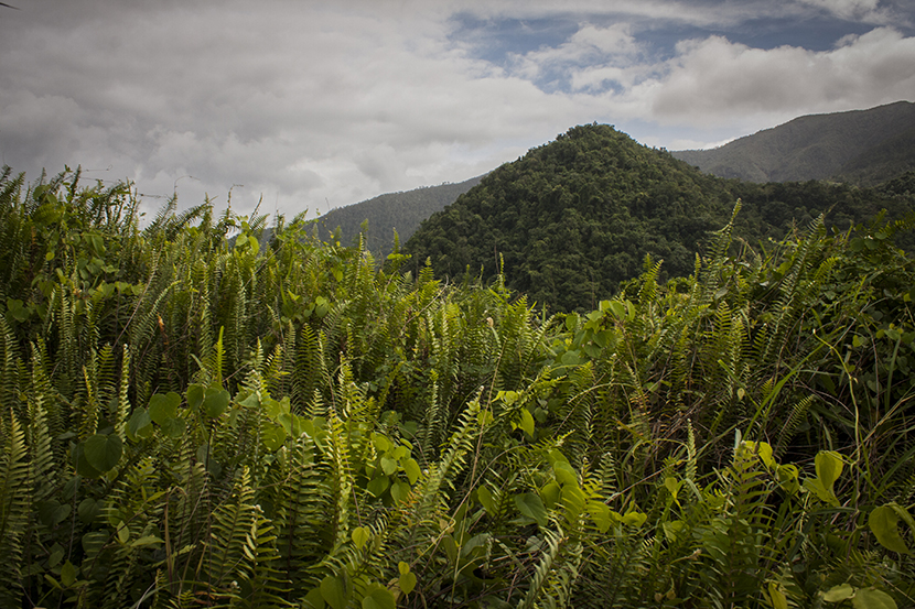 Fotorreportaje Parque Humboldt