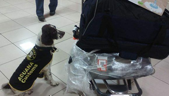 cuba-drogas-aeropuerto prensa latina