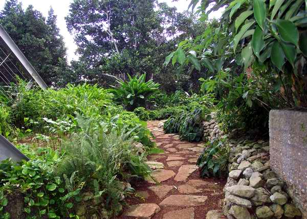 Jardín botánico nacional-aniversario 50