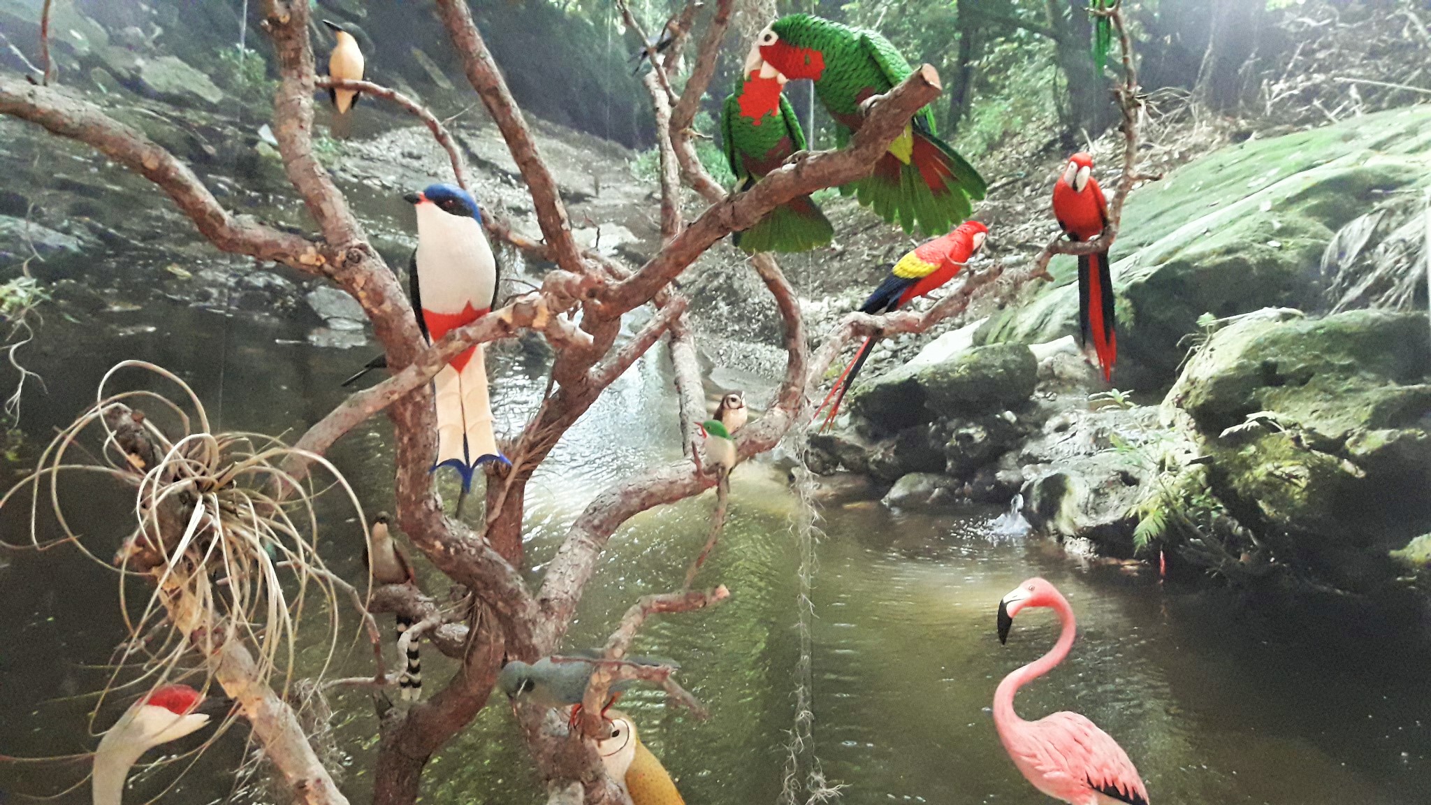 museo-cera-foto-laura-barrera-jerez13