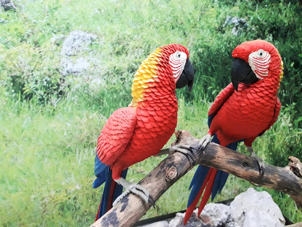 museo-cera-foto-laura-barrera-jerezº12
