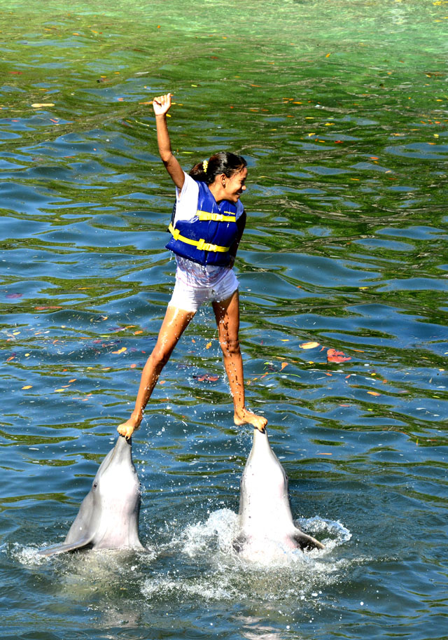 Bailando con delfines.