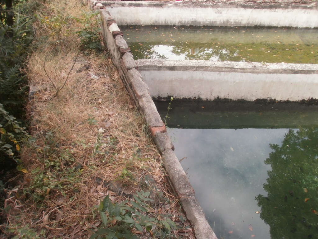 Aserradero Santiago de Cuba 3