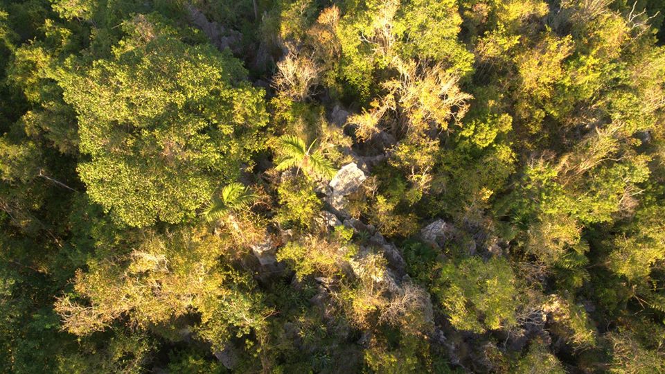 Bosque de Piedra 1