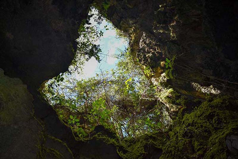 Cueva-Alejandro Benítez