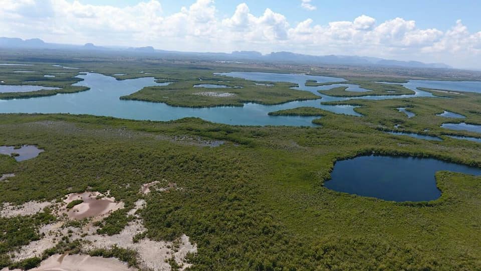 Área Protegida - Pinar del Río