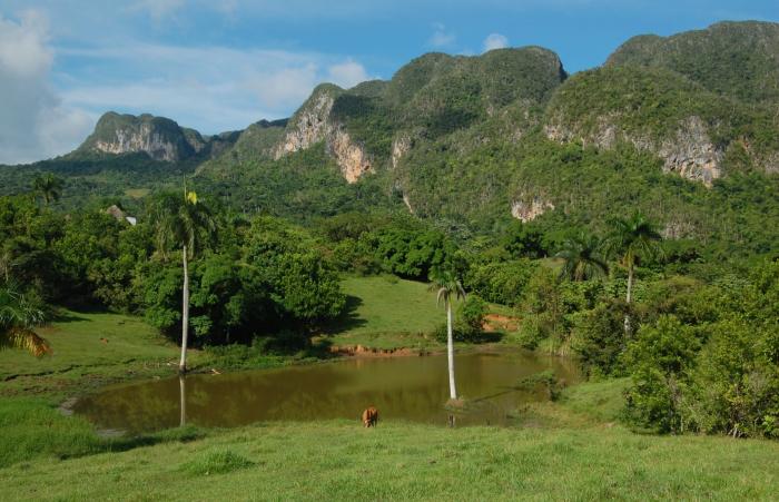 Sistema montañoso de Nipe-Sagua-Baracoa