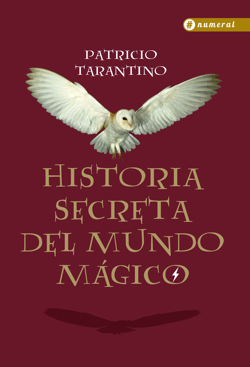 Libro Harry Potter Fantasía