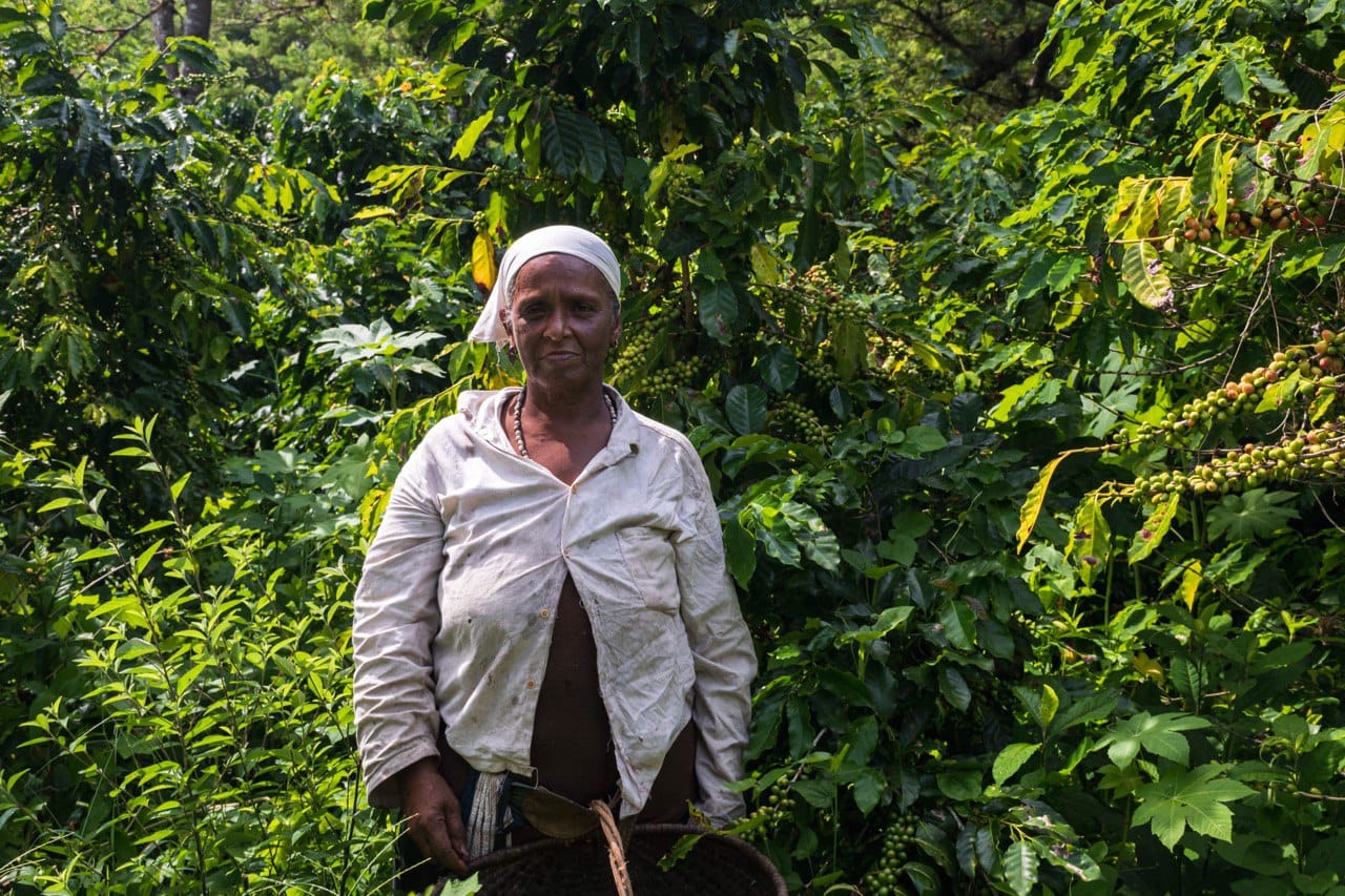  Campesinos cubanos