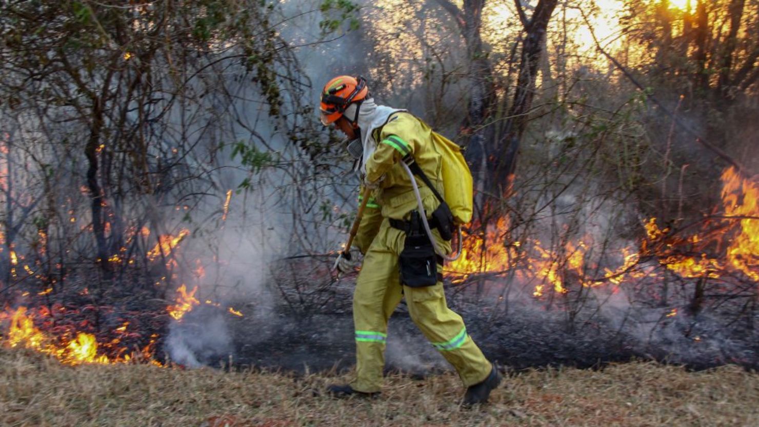 Incendios forestales en Suramérica