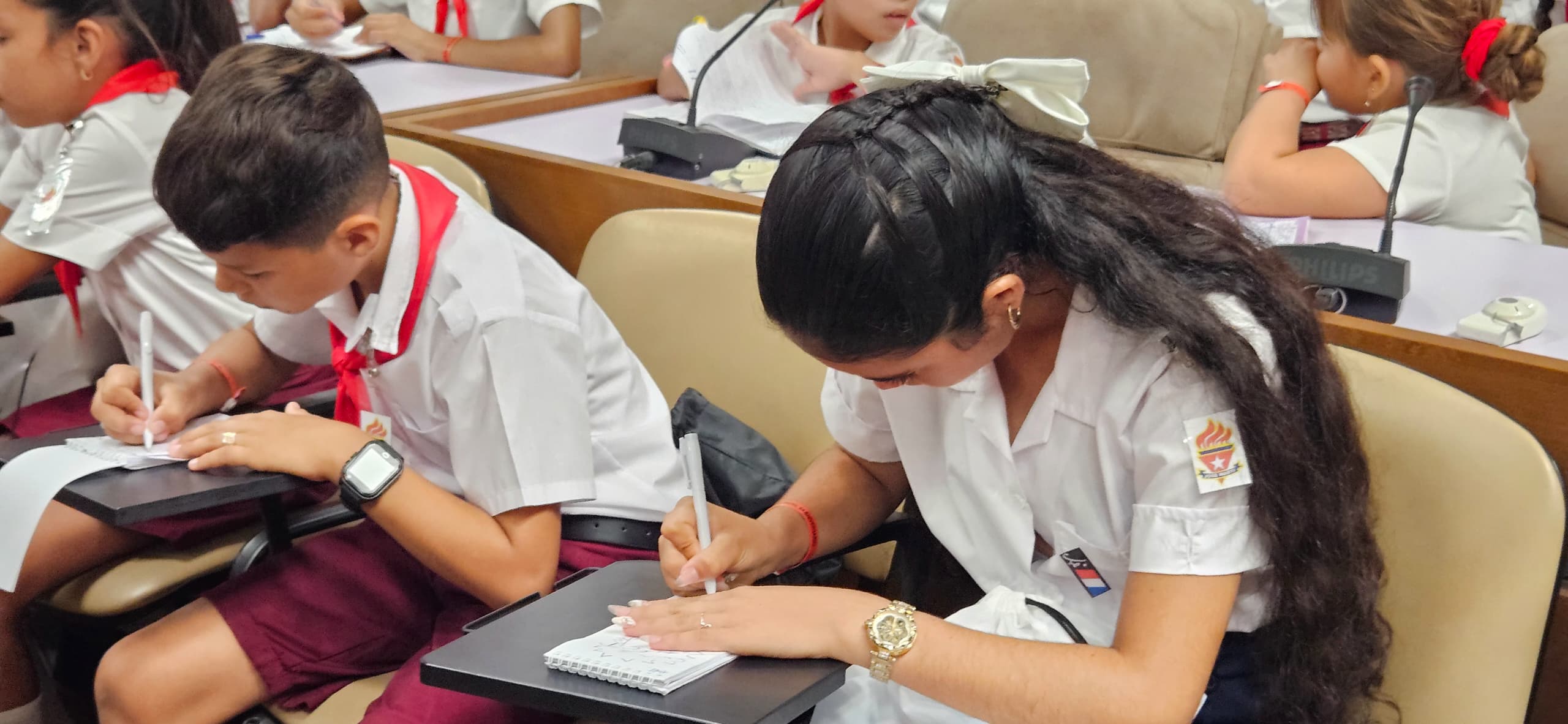 Organización de Pioneros José Martí