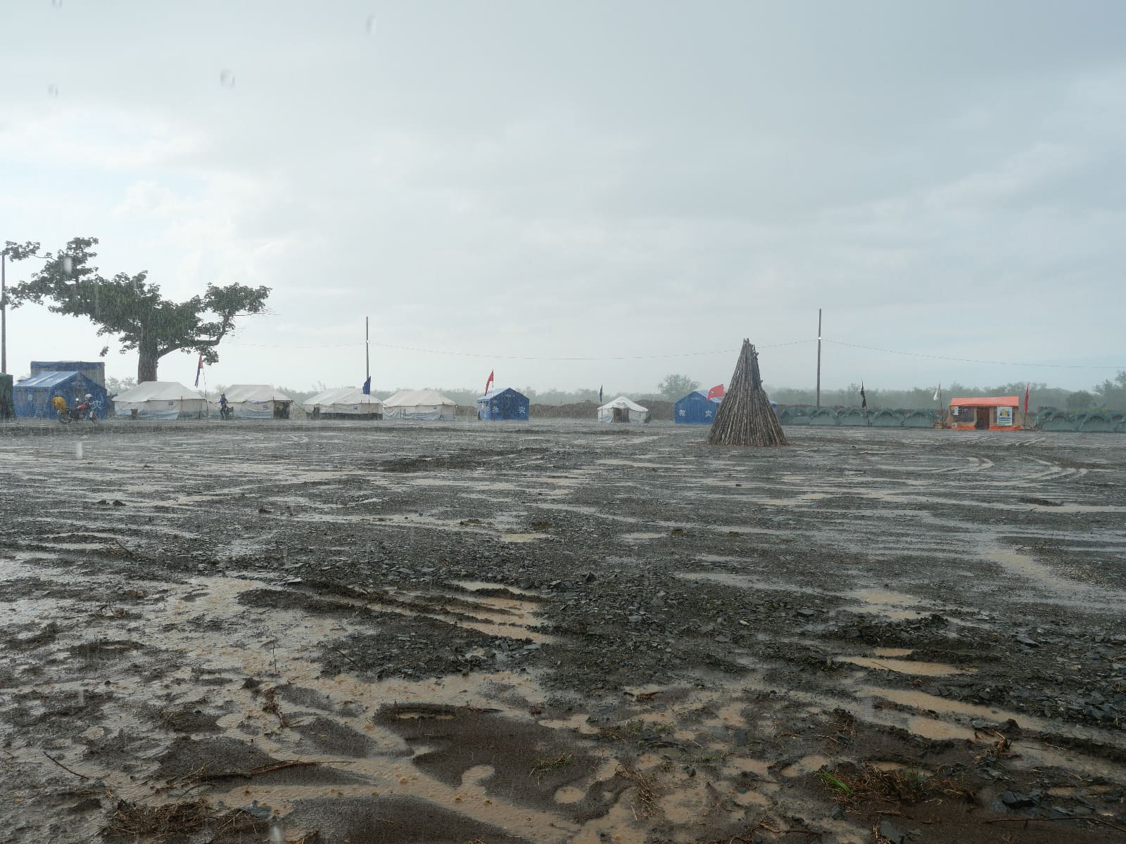 Los jóvenes en Birán Los jóvenes en Birán