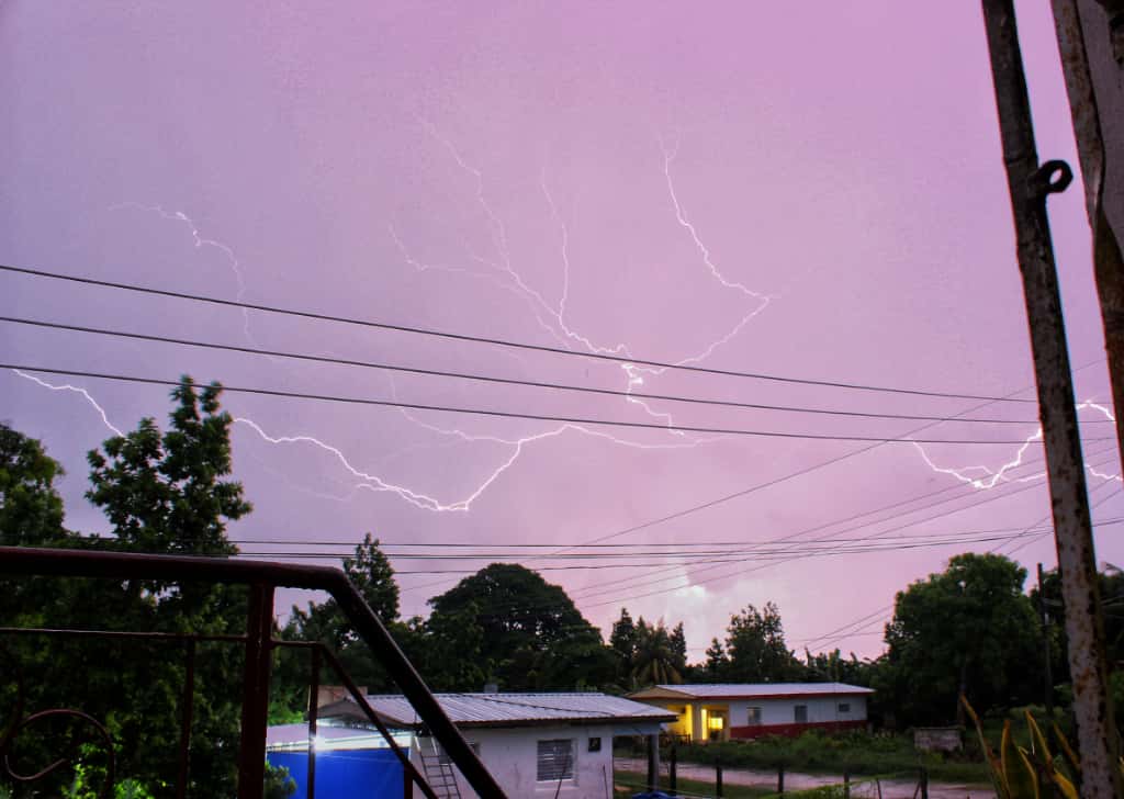 El año del avistamiento extraterrestre El año del avistamiento extraterrestre