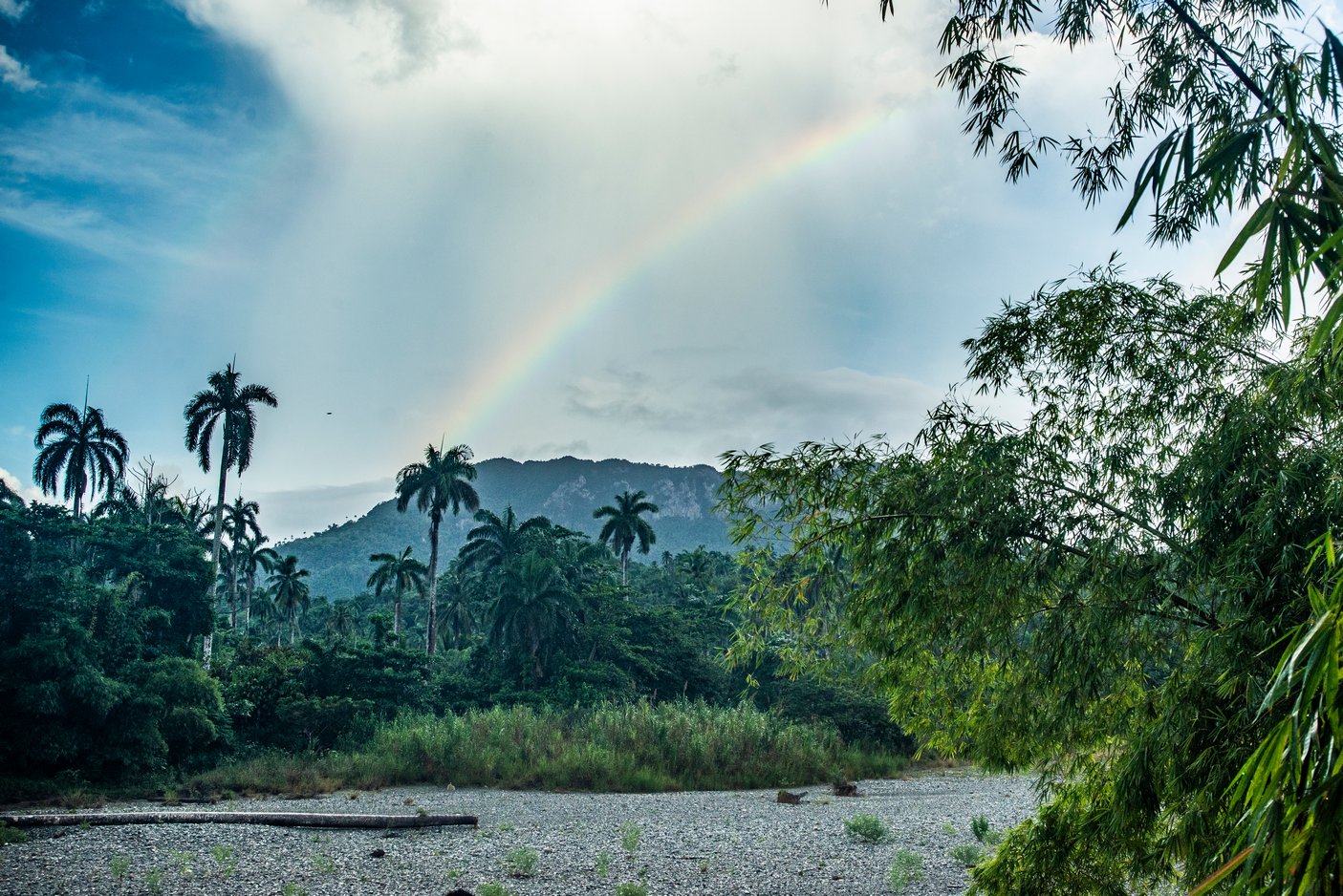  El regalo de la naturaleza