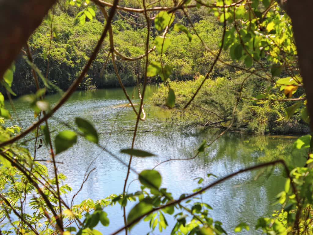 La teoría de la Tierra hueca
