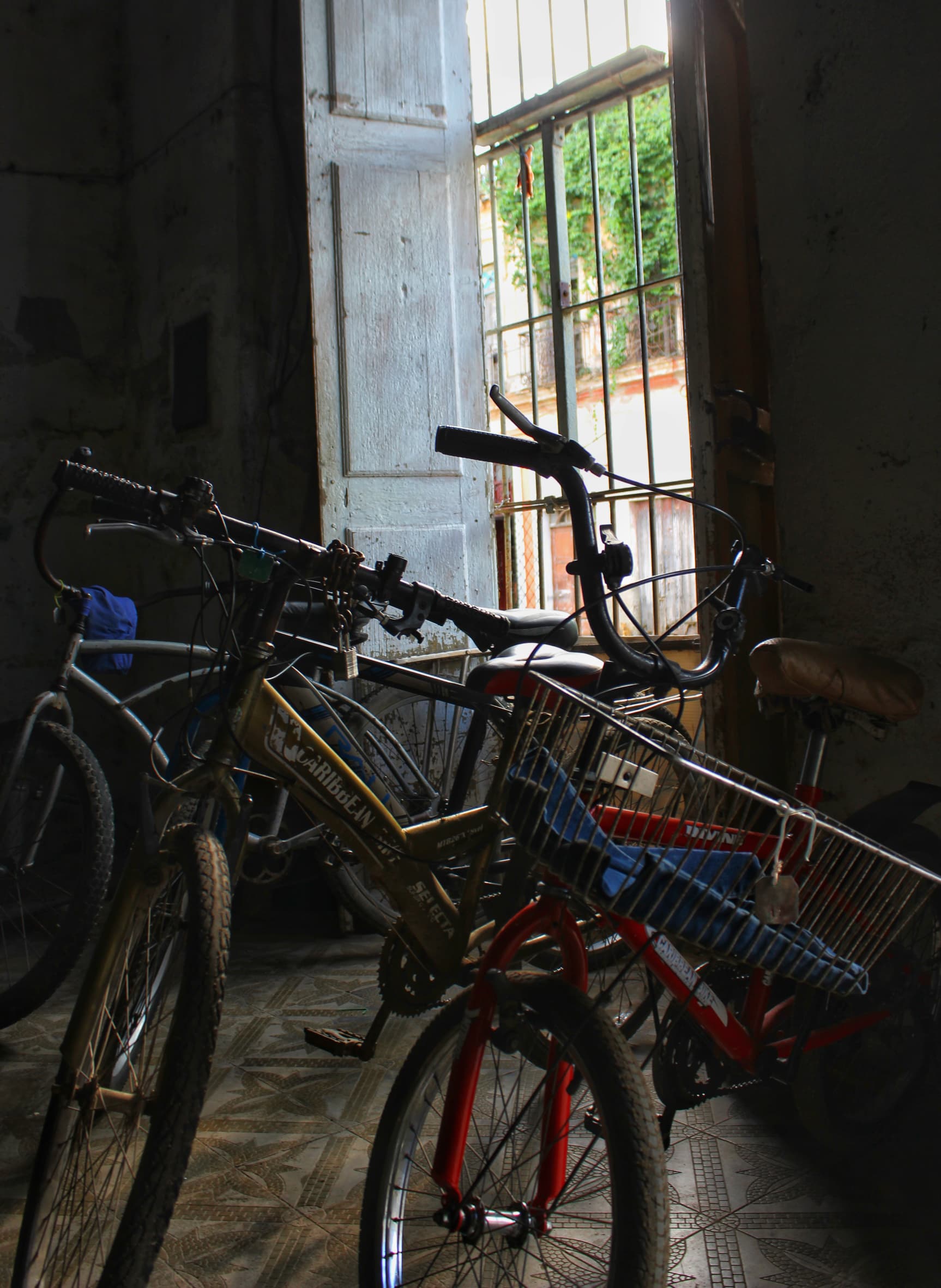 La bicicleta: un invento que no pasa de moda 