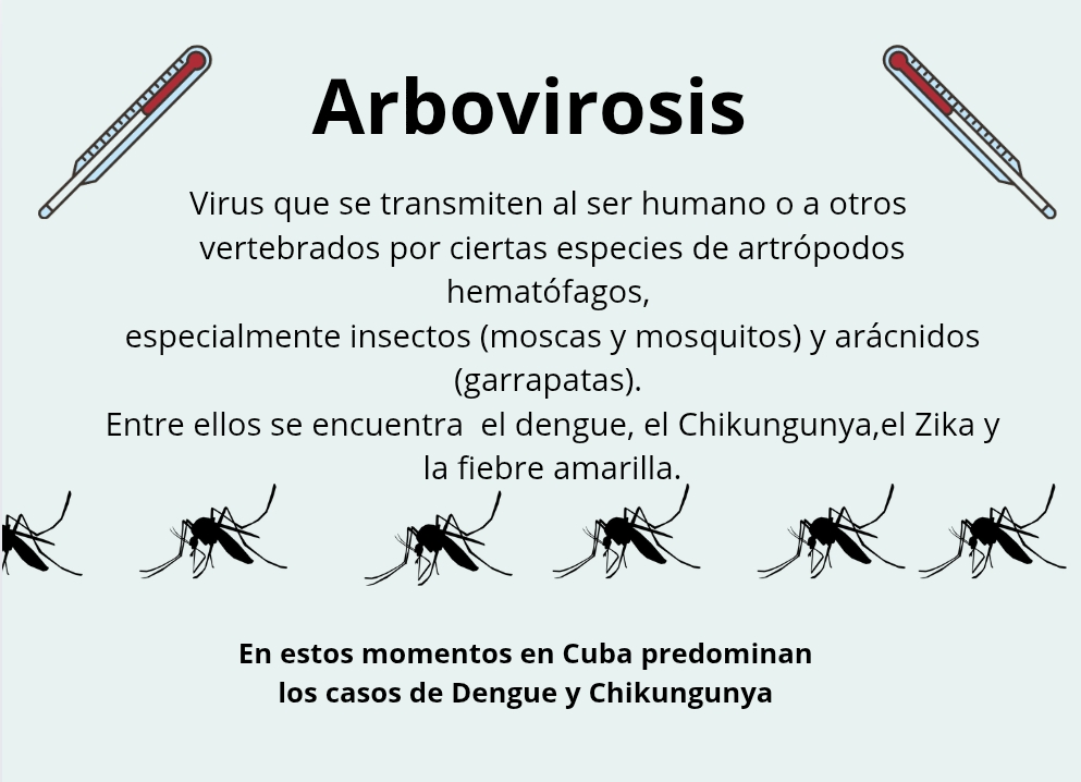 Arbovirosis