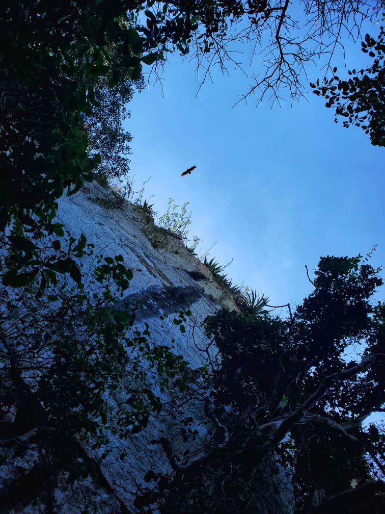 Los Mogotes de Jumagua: un mundo bajo la piedra (+Fotos) 	