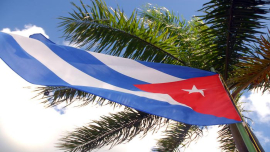 bandera y palma real 