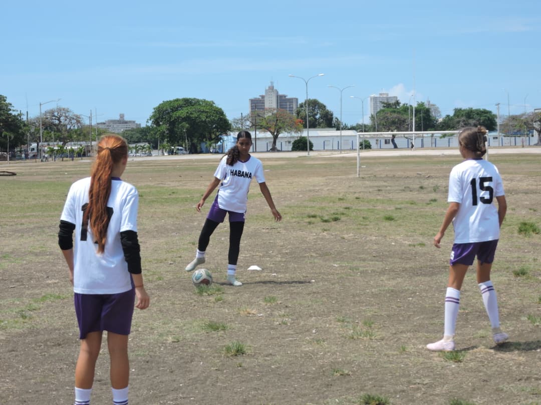 Reinas de la cancha